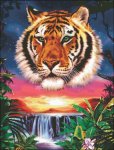 (image for) Wild Tropics